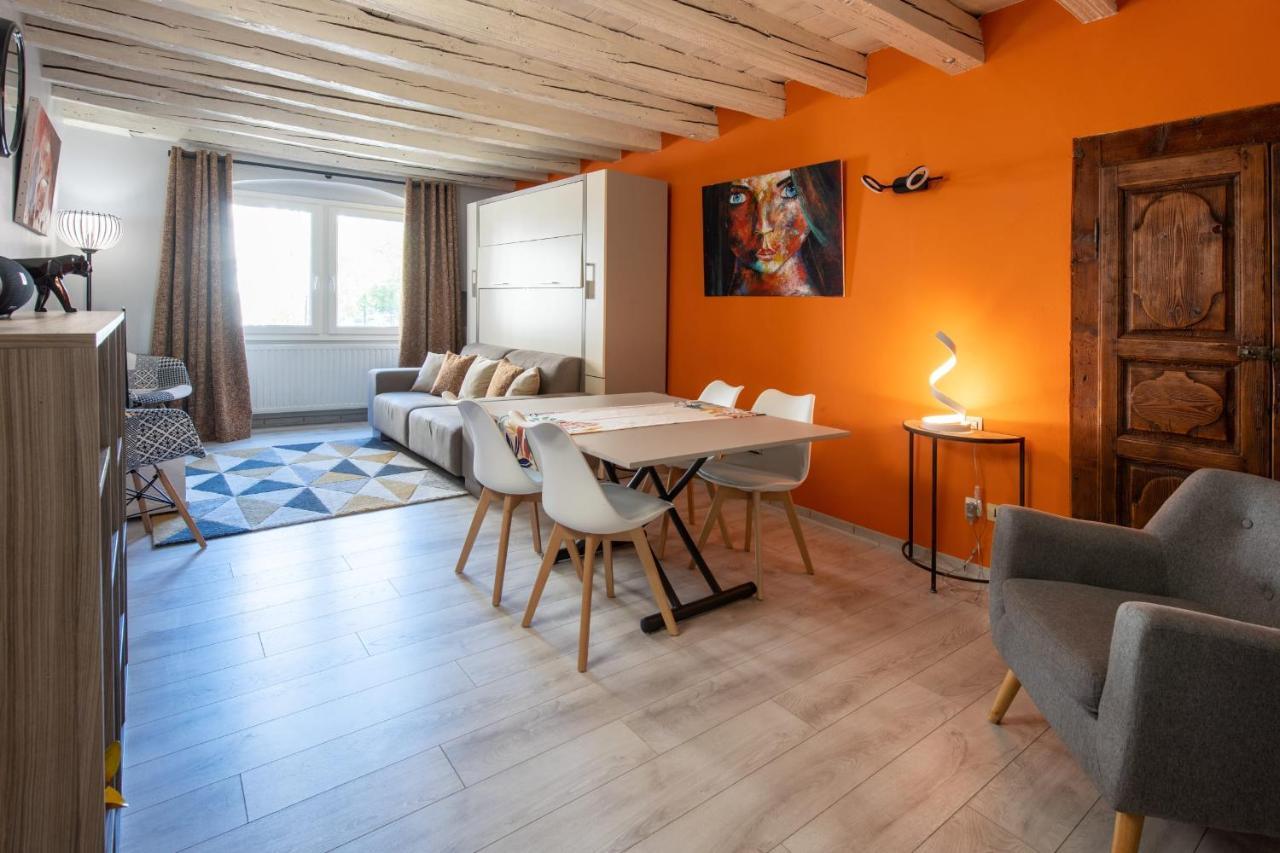 Fitz Roy Annecy Rent Lodge Bagian luar foto